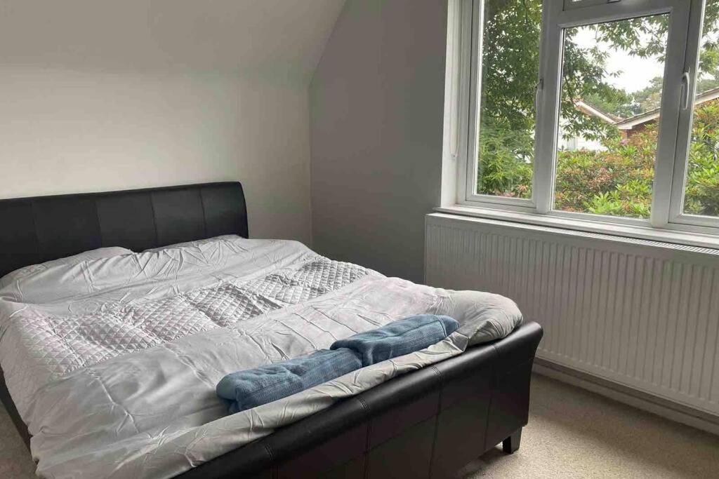 Lovely Cottage In The Heart Of Shirley- Croydon Ngoại thất bức ảnh